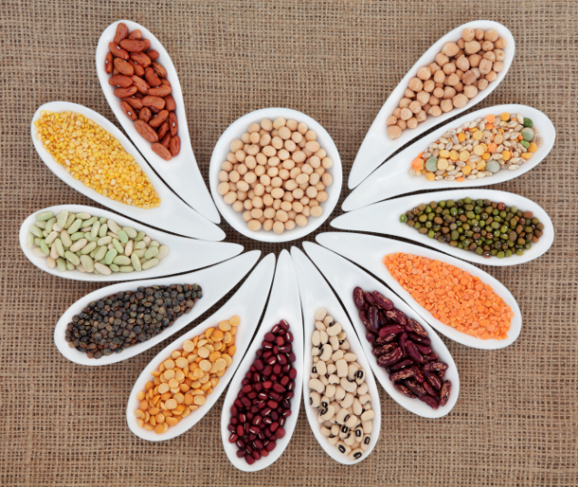 Nuts, Grains, and Pulses