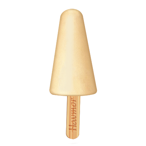 Havmor Dryfruit Rabdi (Kulfi) 70ML X 10