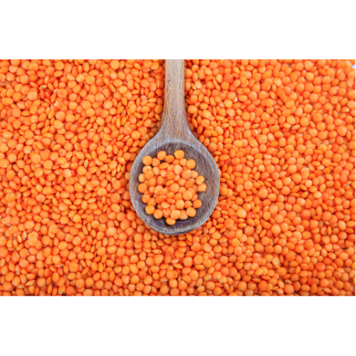 MASOOR DAL – 25KG
